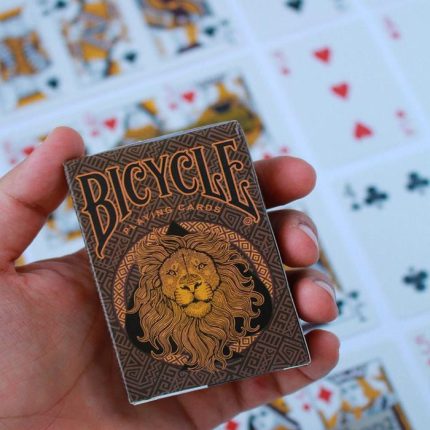 پاسور بایسیکل لیون - پاسور لیون - پاسور LION BICYCLE