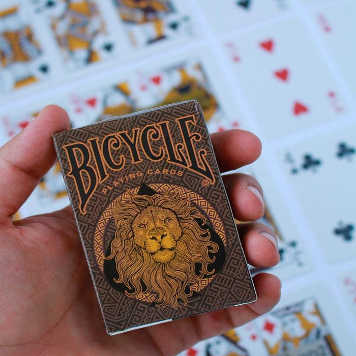 پاسور بایسیکل لیون - پاسور لیون - پاسور LION BICYCLE